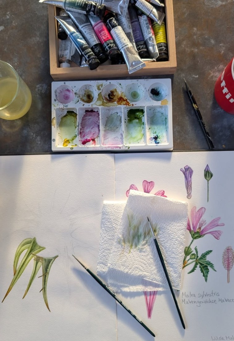 Aquarellkasten und Pflanzenstudie im Atelier