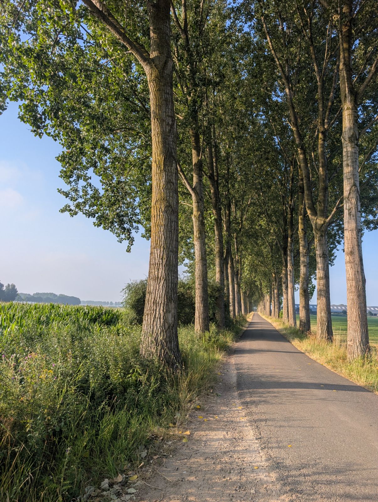 Mit dem neuen Wohnmobil in ein kreatives Reiseleben — Foto