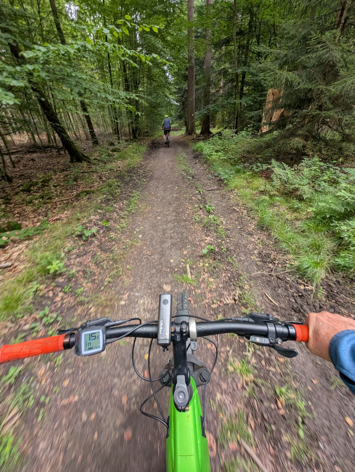 Norddeutschland im August – Herbstboten im Skizzenbuch — Eindruck 2