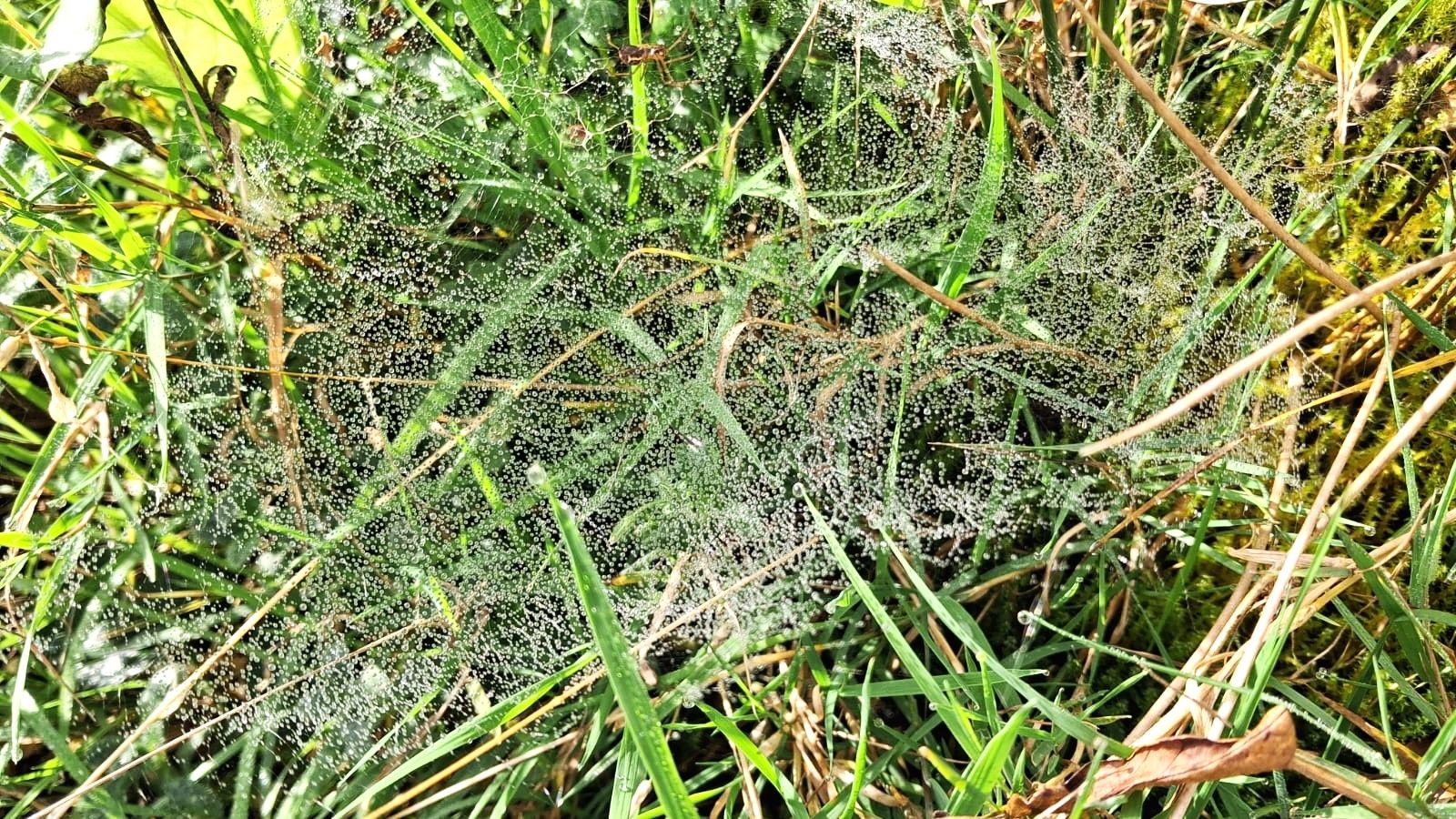 Unsere herbstliche Wanderzeit — Foto
