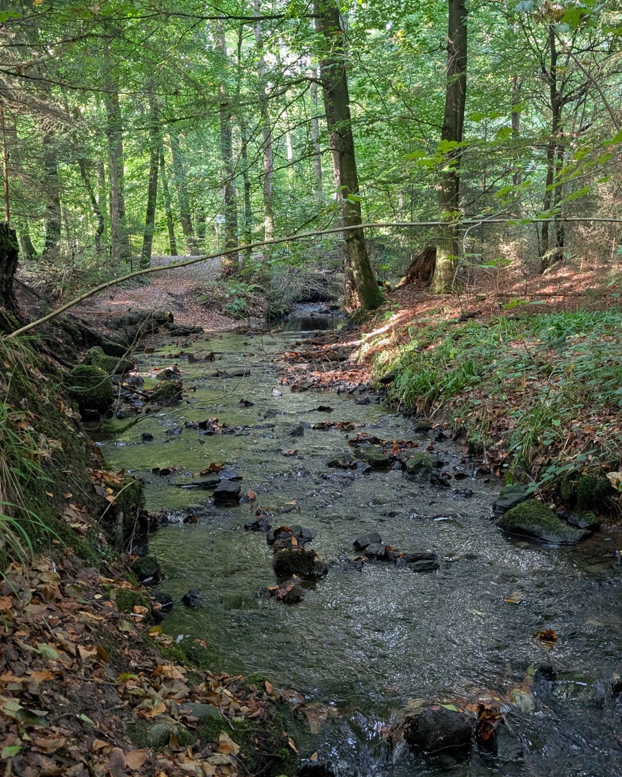 Unsere herbstliche Wanderzeit — Eindruck 1