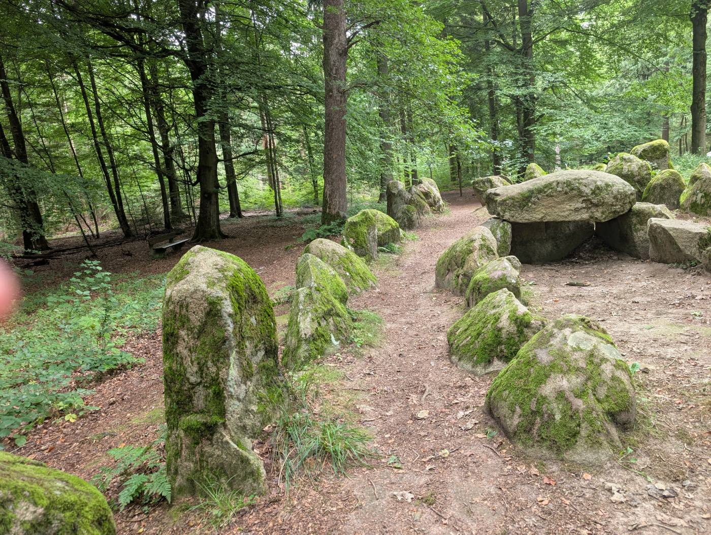 Norddeutschland im August – Herbstboten im Skizzenbuch — Eindruck 3