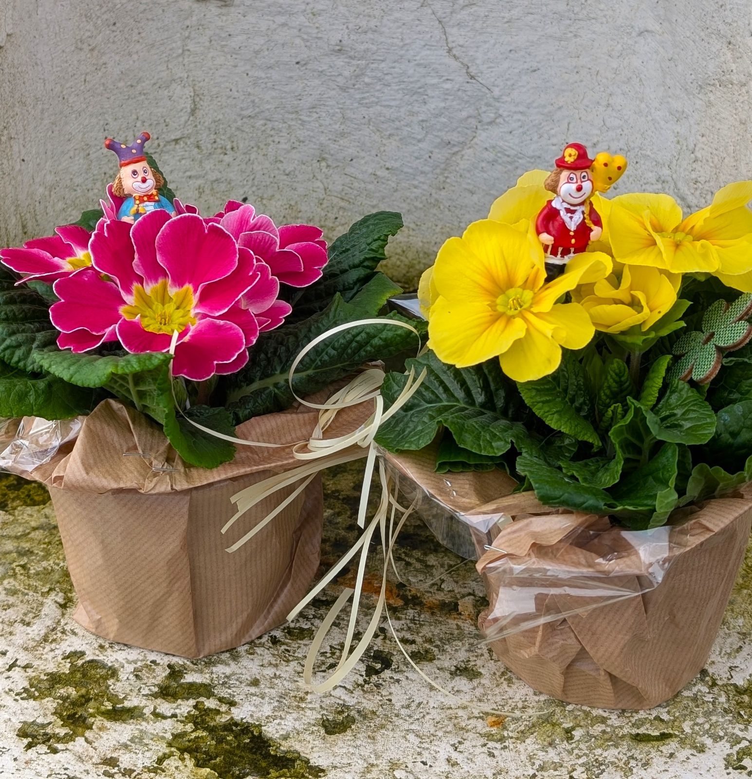 Das Blumenatelier  - Zwei Standorte – Atelier und Blumenladen — Eindruck 2