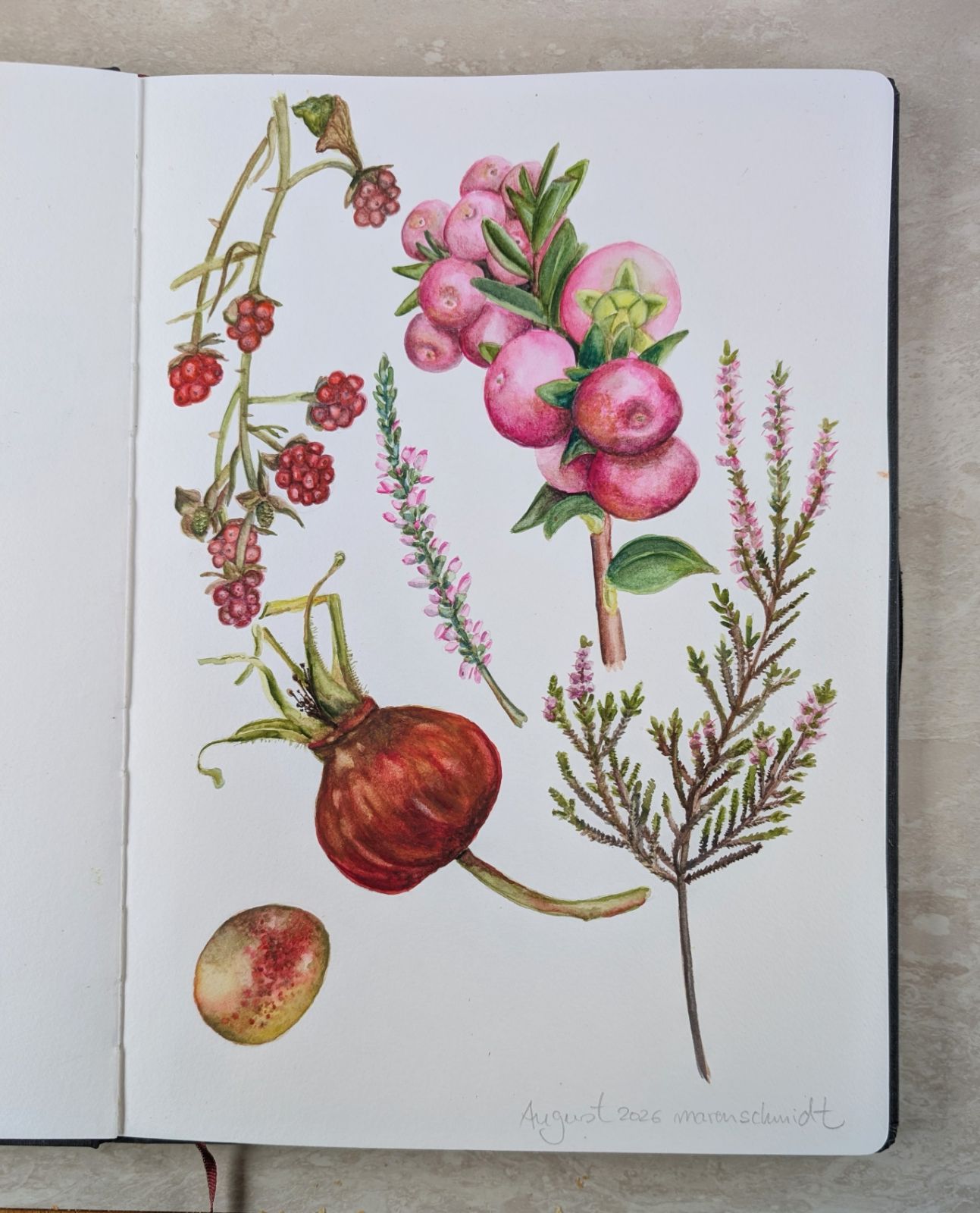Norddeutschland im August – Herbstboten im Skizzenbuch — Foto