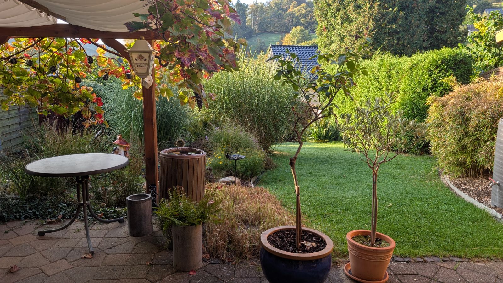 Unsere herbstliche Wanderzeit — Foto
