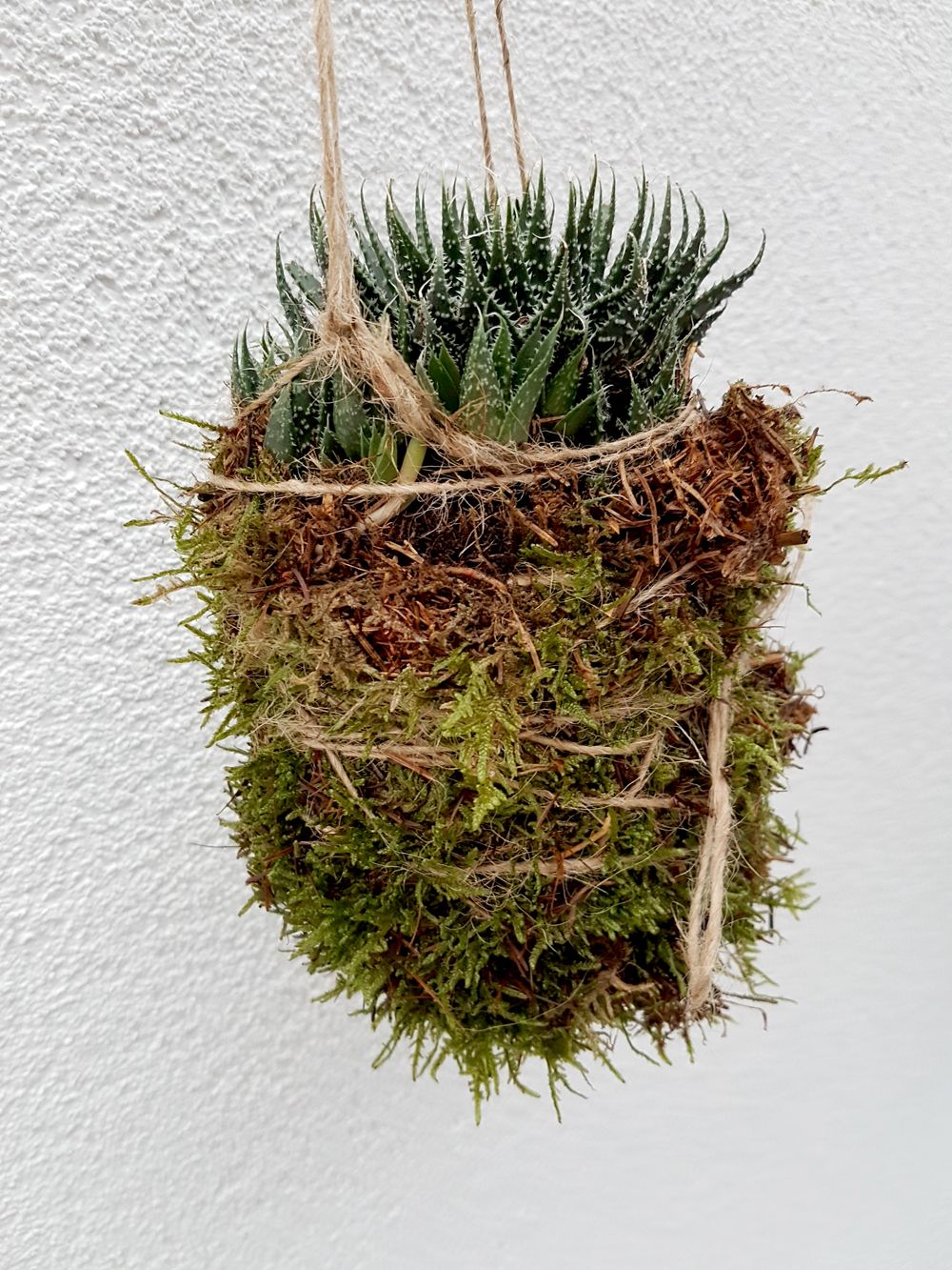 Das Blumenatelier  - Zwei Standorte – Atelier und Blumenladen — Eindruck 3