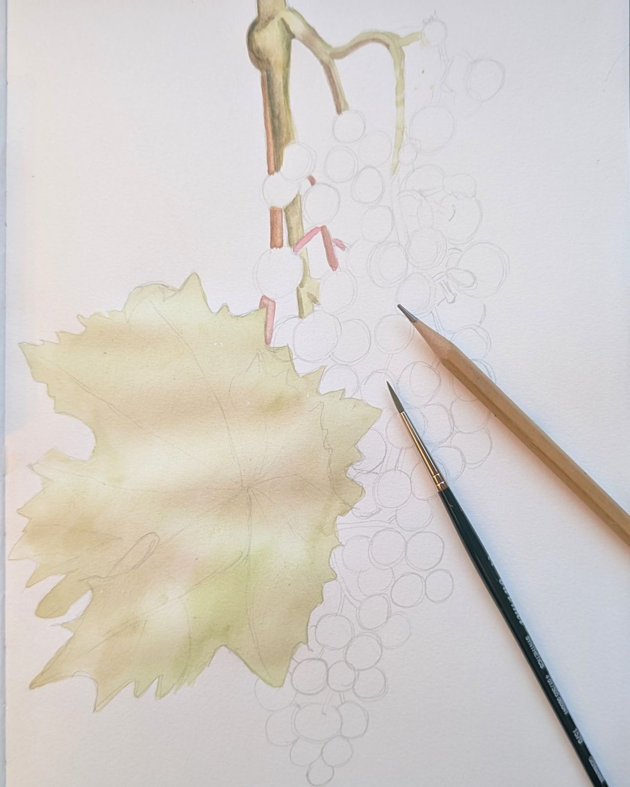 Unsere herbstliche Wanderzeit — Eindruck 1