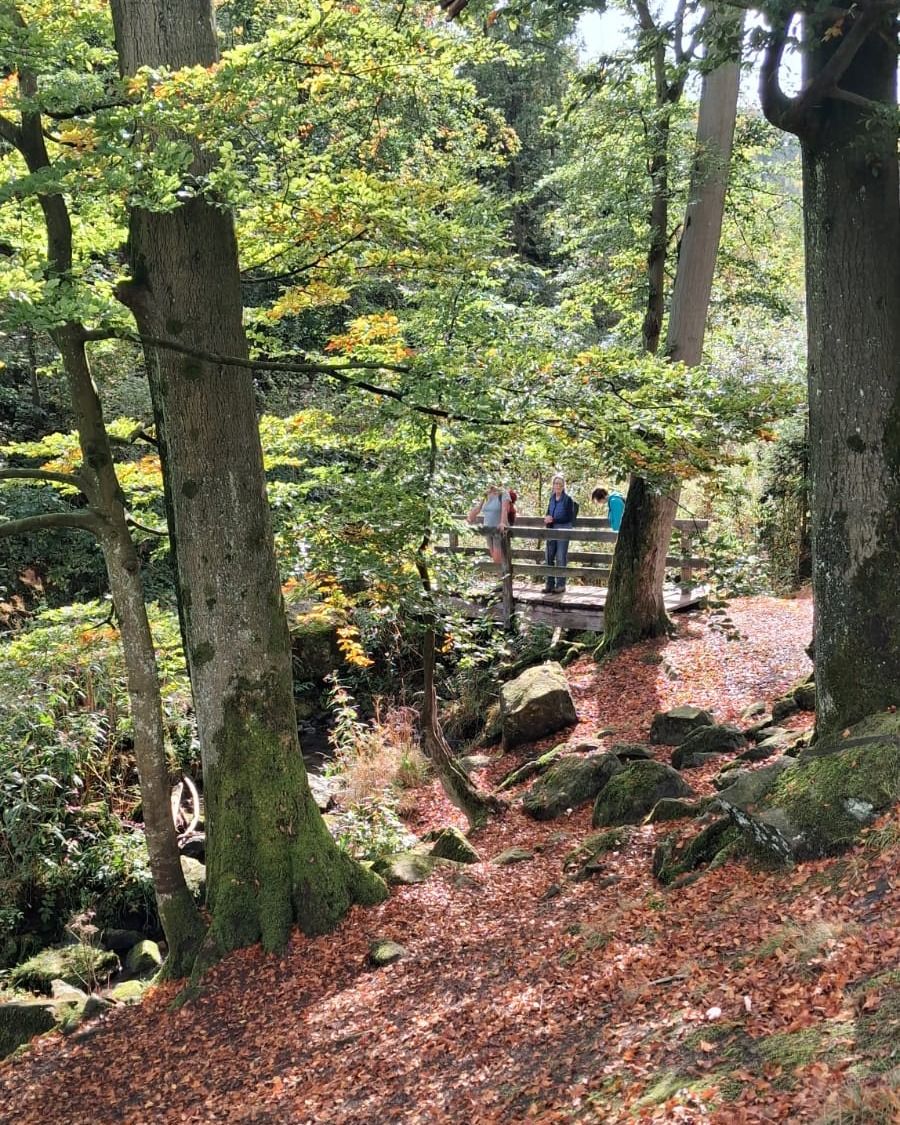 Unsere herbstliche Wanderzeit — Eindruck 2