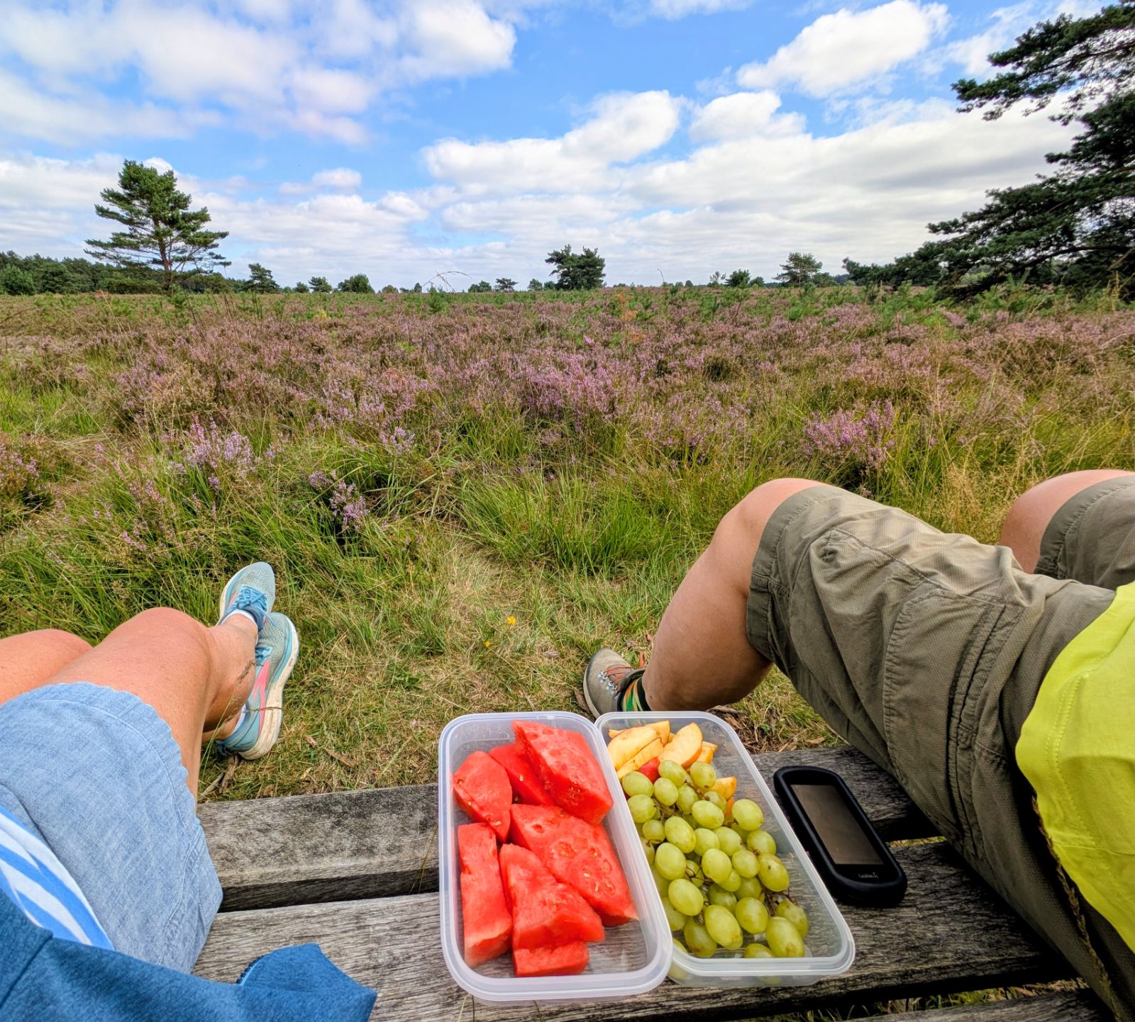 Norddeutschland im August – Herbstboten im Skizzenbuch — Eindruck 2