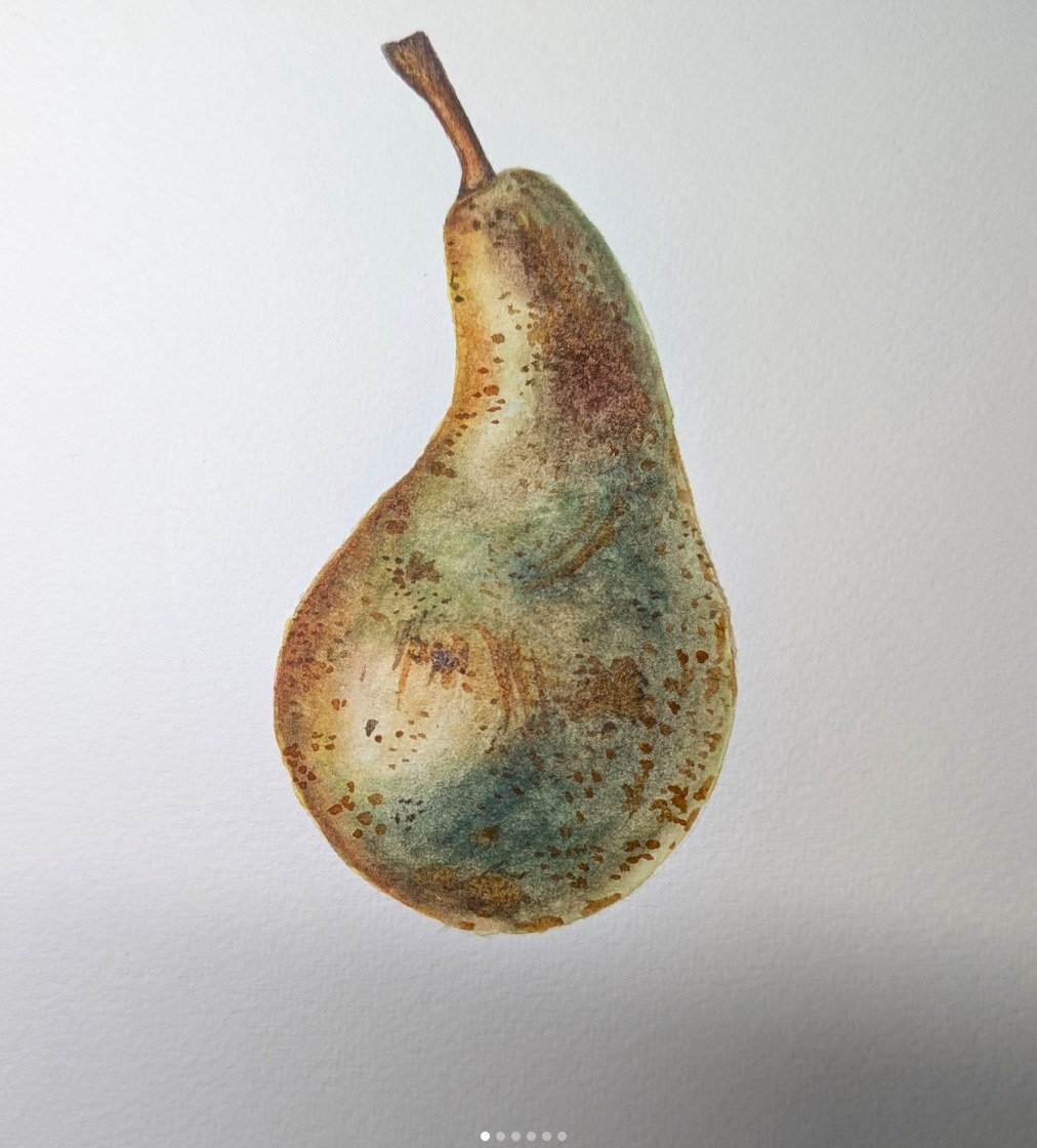 Birne — botanisches Aquarell von Maren Schmidt